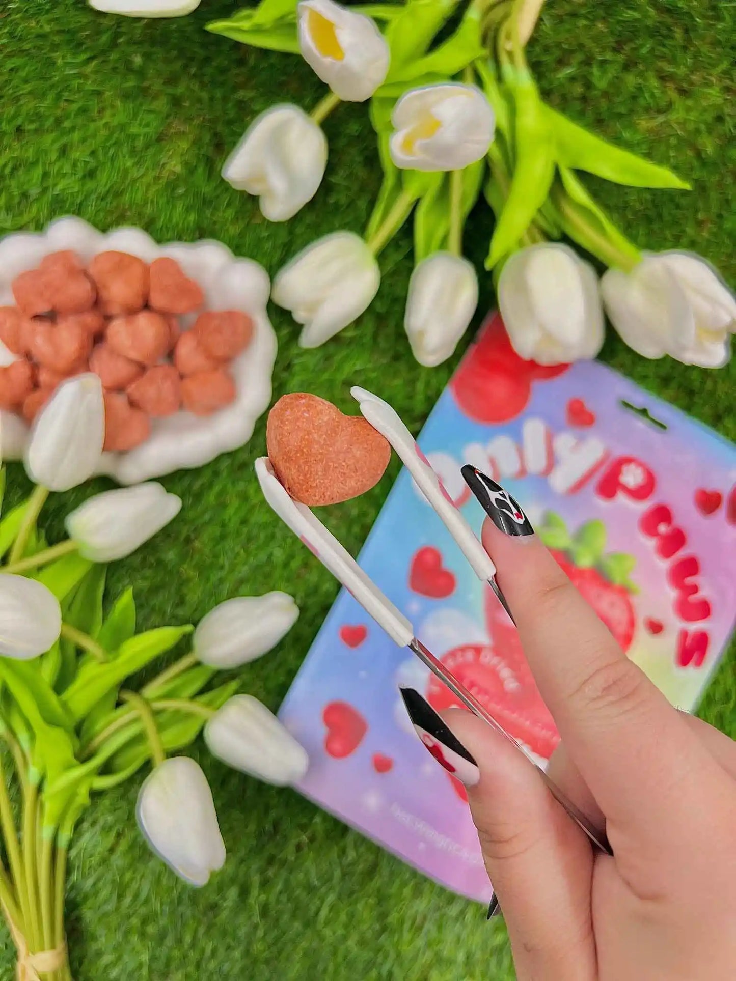 Freeze Dried Strawberry