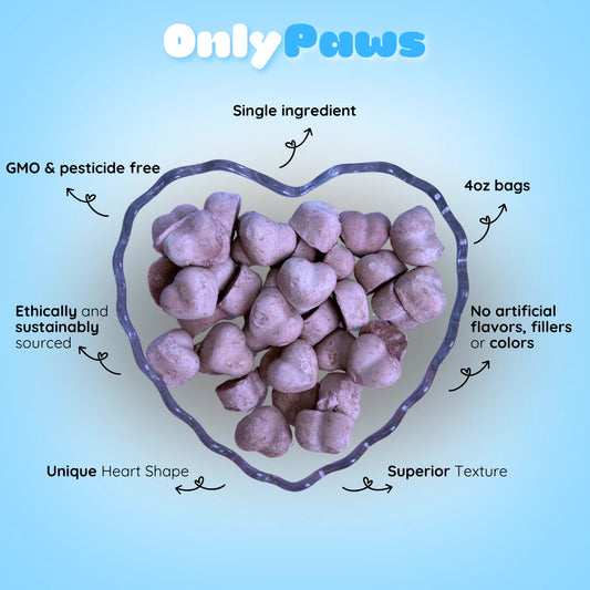 Freeze Dried Blueberry