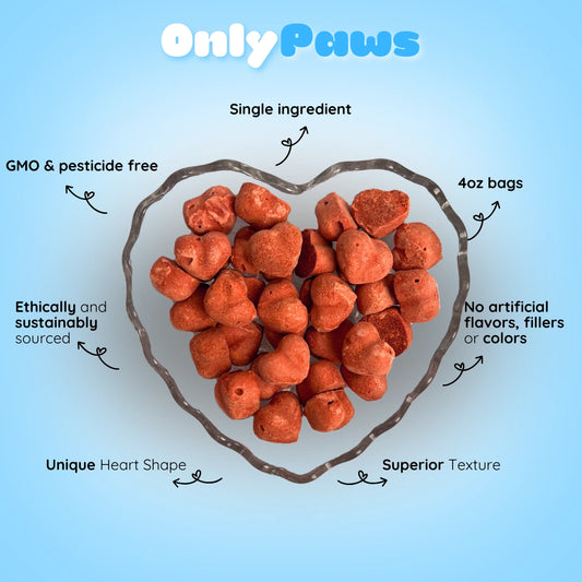 Freeze Dried Strawberry