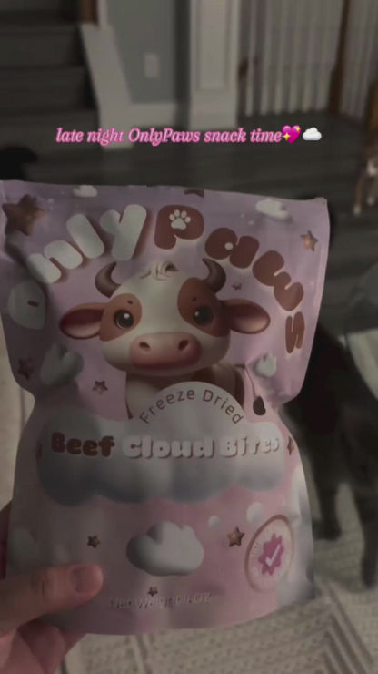 Freeze Dried Beef