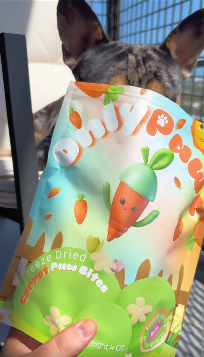 Freeze Dried Carrots